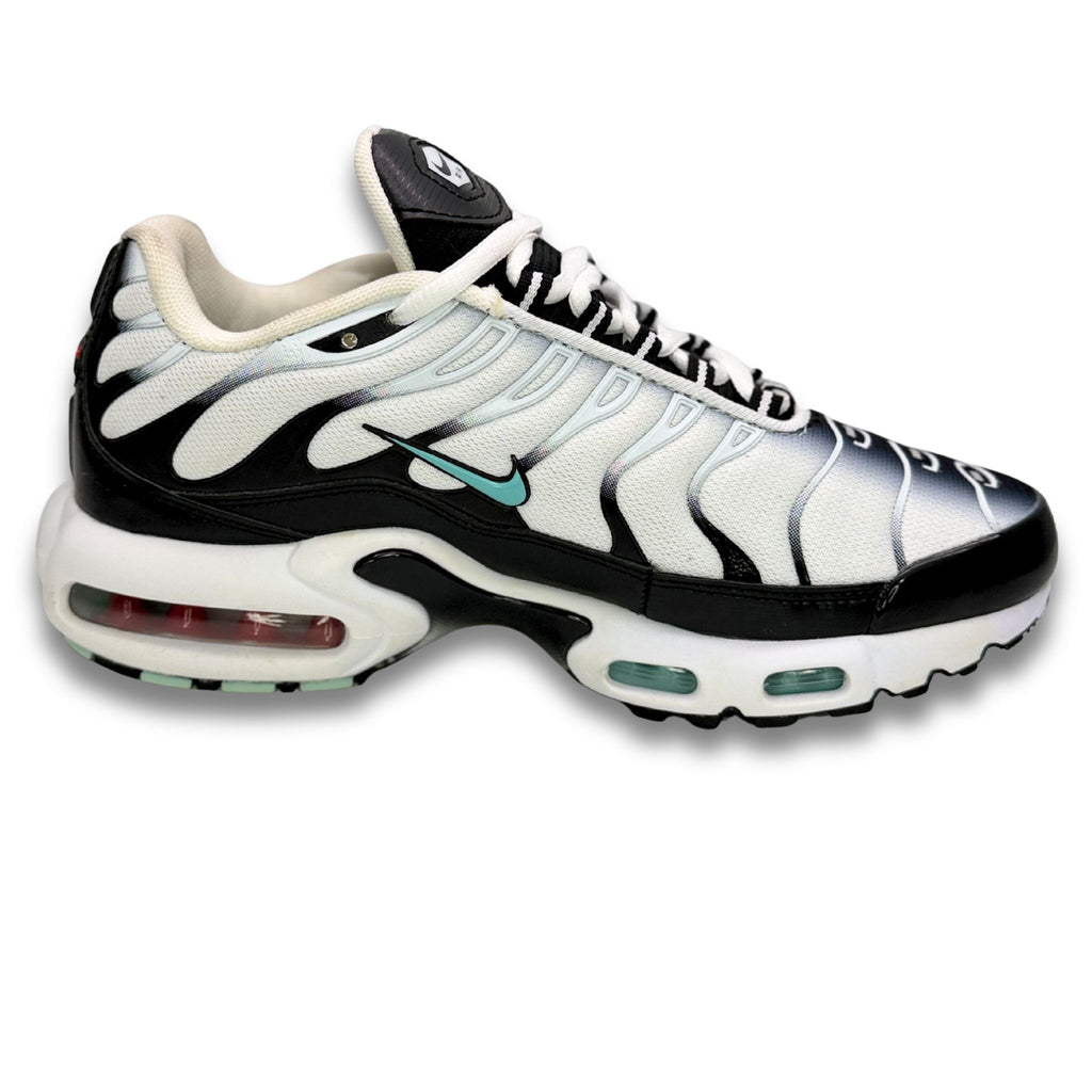 Tenis Nike Air Max Plus Black And White Hombre